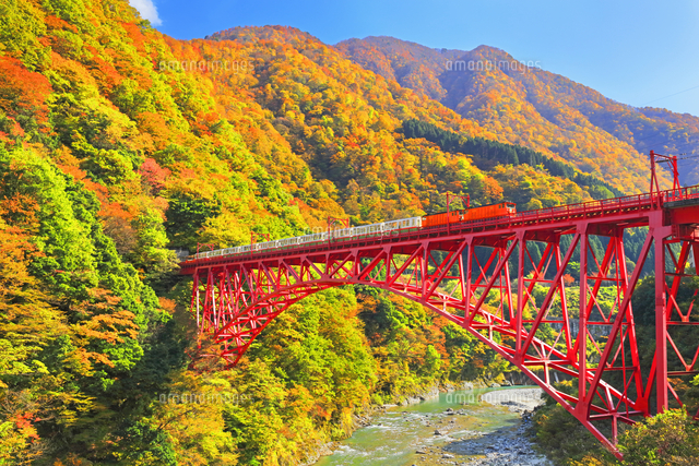 画像に alt 属性が指定されていません。ファイル名: %E9%BB%92%E9%83%A8%E5%B3%A1%E8%B0%B7.jpg